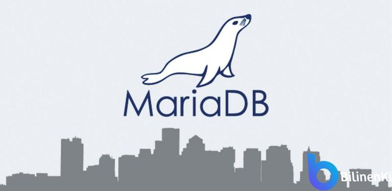 Plesk MariaDB 10 Yükseltme (Resimli Anlatım)